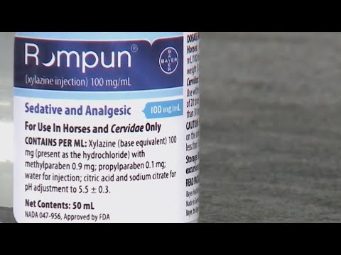 White House drug czar: Tranq makes fentanyl look like 'walk in the park'  |  NewsNation Prime