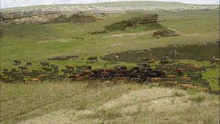 preview picture of video 'Kombol Ranch Montana Cattle Drive'