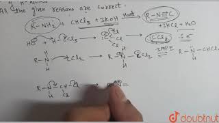Why do 2^@ and 3^@ amines fails to undergo the carbylamine test?  | 12 | ORGANIC COMPOUNDS CONTA...