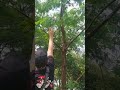 Panen Lamtoro Ditaiwan