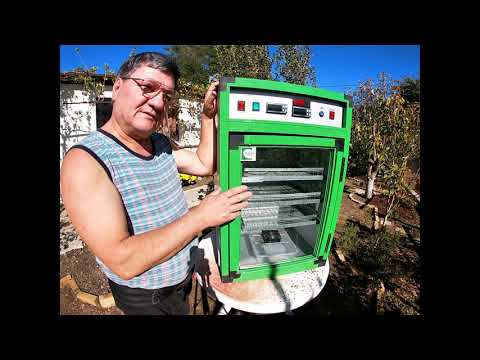 Обзор инкубатора NBF 180