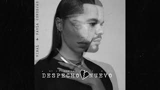 Despecho nuevo Music Video