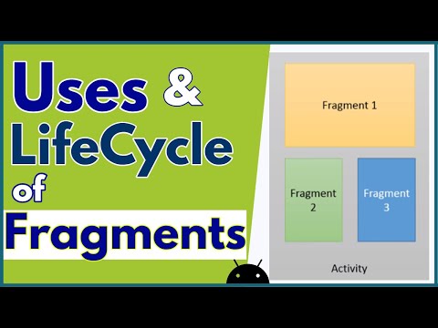 Fragments in Android App Development Fragment Tutorial in Android 1