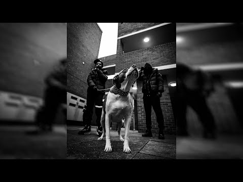 Freestyle Boom Bap Beat | "FAKER" | Underground Boom Bap Instrumental Uso Libre |