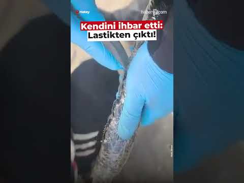 Kendini ihbar etti: Motosiklet lastiğinden çıktı!