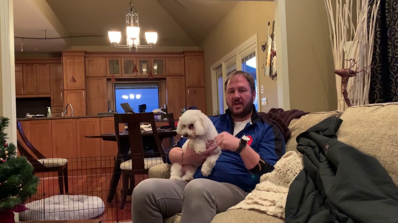 Stopping Leo's Marking and Accidents in the House