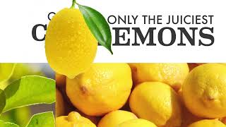 Bigelow Tea Bigelow Green Tea With Lemon