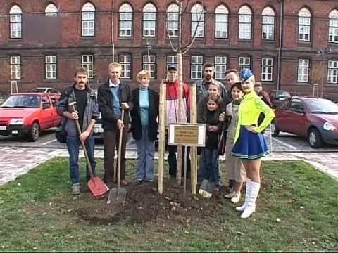 Město Bohumín 2006