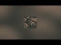 Pastel Ghost Shadows Slowed Reverb Bass Boosted