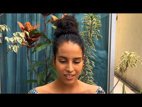 HOMENAGEM A VANDER LEE, como começou