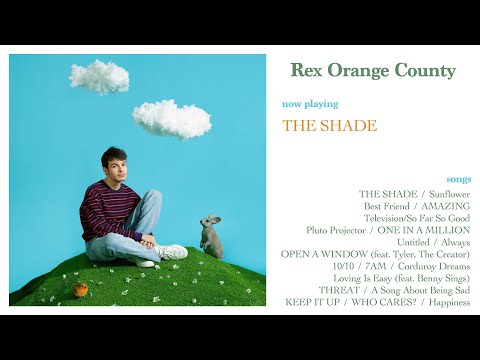 Rex Orange County playlist????