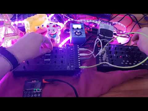 Moog Mavis with Moog Werkstatt 01 and Pocket Operator Rhythm jam