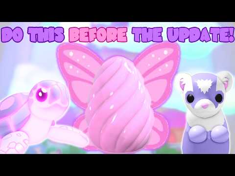 Update N Adopt Entry