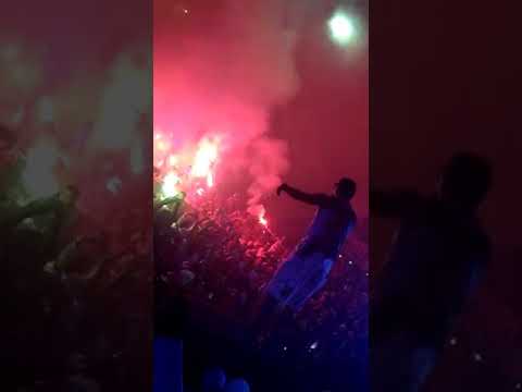 Chorei pqp, ele deixou saudade mano Letal Peixinhos ohhh 🎶🎶