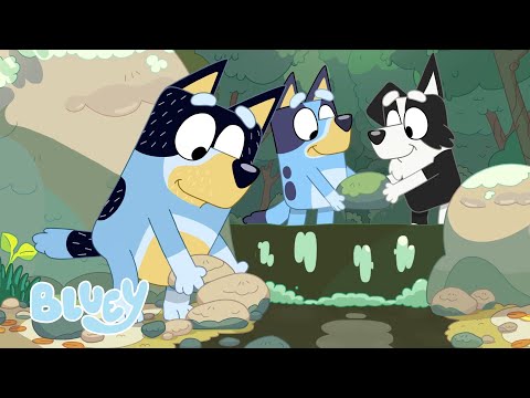 Capa de Bem-Vindo ao Riacho | Bluey Português Brasil Canal Oficial