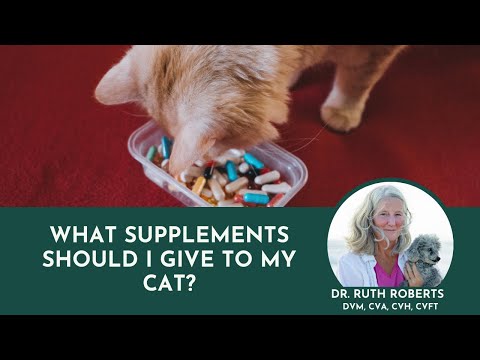 What Supplements Should I Give to My Cat? | Dr. Ruth Roberts