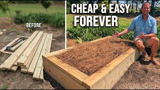 The ONLY Raised Bed Guide You Need: Lumber, Tools & Perfect Soil