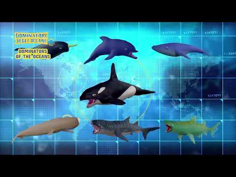 🐋Dive in to discover Dominators of the Oceans 🦈 #sbabam In English. @SbabamItalia
