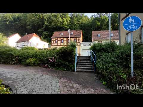 Strahlende Sonne🌞🌞