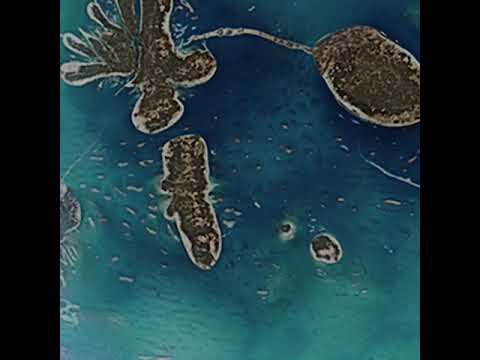 Parra for Cuva - Cuiva (Visuals)