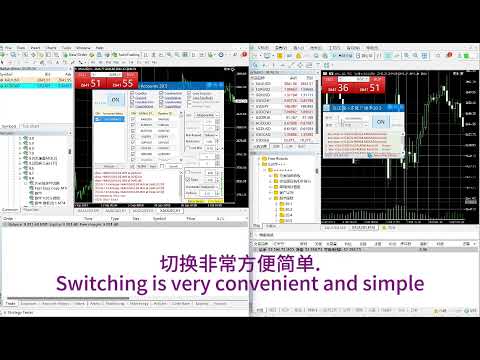 Video Fast Copy For Multi Plattform Multi Account MT4