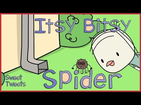 Itsy Bitsy Spider! | Nursery Rhymes & Kids Songs with Sweet Tweets - Kids TV Series, Kingdom Kids Zone - Treehouse Direct