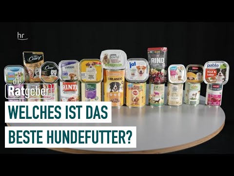 Dog food in the goods test: Which wet food is recommended? | The Counselors