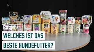 Hundefutter im Warentest: Welches Nassfutter ist empfehlenswert? | Die Ratgeber