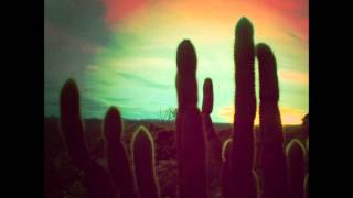 The Walkmen--Postcards From Tiny Islands