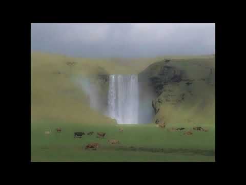 (free) *hyperpop* juno x avit type beat "go back in time"