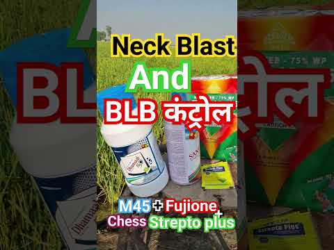 Neck Blast and sheetblast(BLB)
