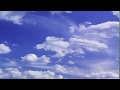 Opening To Happy Feet 2006 2007 DVD