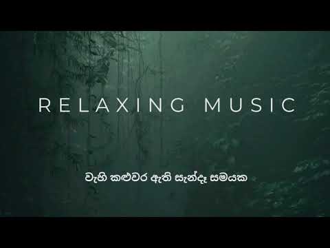 Wahi Kaluwara Ati Sanda Samayaka (වැහි කළුවර ඇති සැන්දෑ සමයක) |Heart Touching Music 2024 | Volume 02
