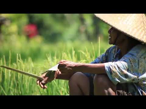 I Gusti Sudarsana - Ajeg Lestari (Official Video Visualizer)