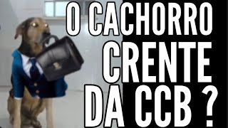 #CCB# O CACHORRO CRENTE DA CCB?