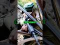 What Made Daniel Boone the Best Sniper in US History!? #usa #military #shorts