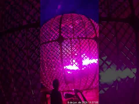 World Circus em Sarzedo-MG.