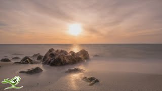 3 Hours of Relaxing Guitar Music: Relaxation, Study & Sleep | Background Music