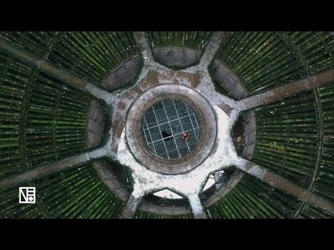 STILL HERE - Mr.Clasik