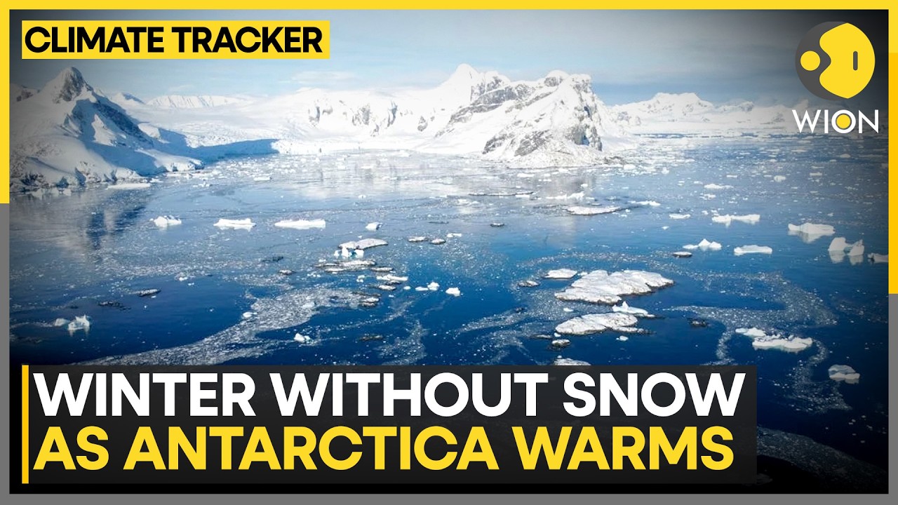 Antarctica Winter Heatwave: Record Warmth Breaks June Climate Records | WION