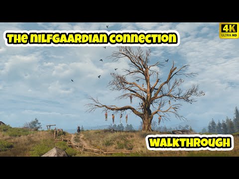 The Witcher 3 The Nilfgaardian Connection Main Quest Walkthrough [ 4K ]