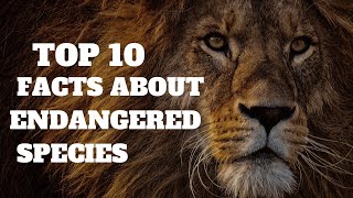 Top 10 facts about endangered species