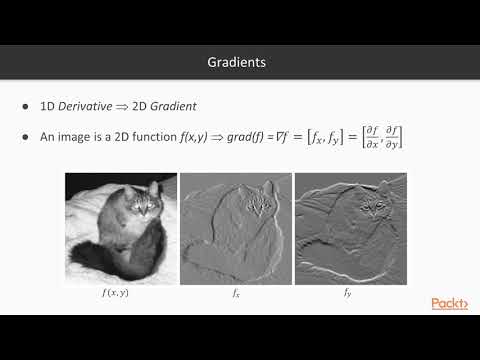 OpenCV 3 Advanced Photo Manipulation The Gradient Domain | packtpub com