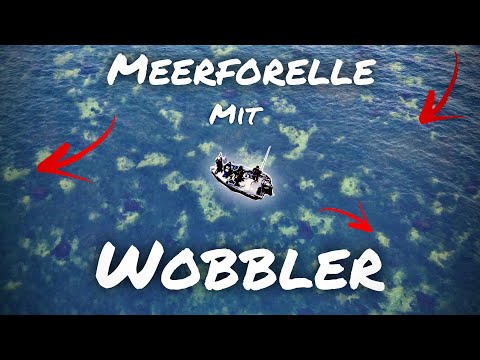 Sea trout really want this 🤫 They bite on wobblers!!!