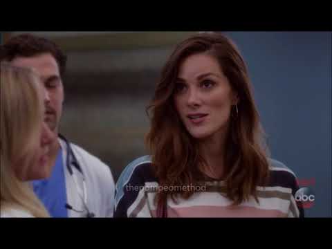 Grey's Anatomy 14x03 "Go Big or Go Home" Carina, Arizona, Andrew, Webber, Ben