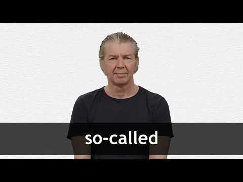 SO-CALLED definition in American English