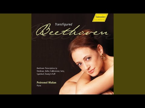 Beethoven - String Quartet No. 13 in B flat major, Op. 130: V. Cavatina