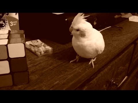 Video thumbnail for Anorexia II