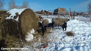 Рыбалка целинный район