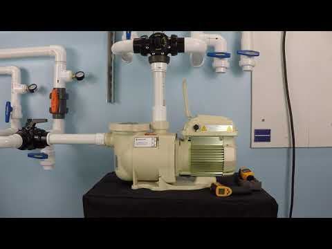 Which VS Pump Can You Use With A Salt System?